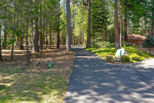 a view of a park with large trees