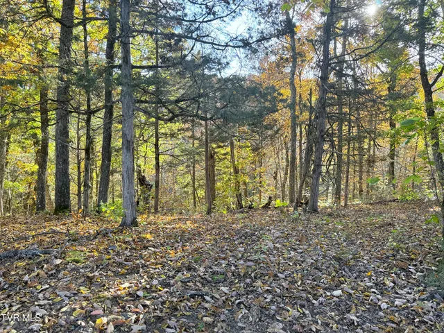 $90,000 | 6 Topaz Way, Unit 6, Parrottsville, TN 37843