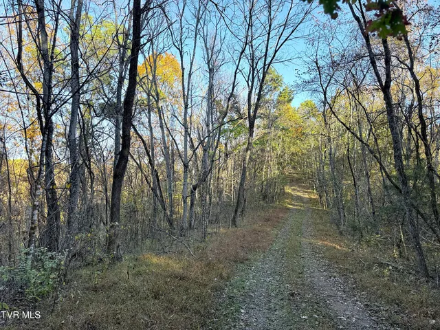 $90,000 | 6 Topaz Way, Unit 6, Parrottsville, TN 37843