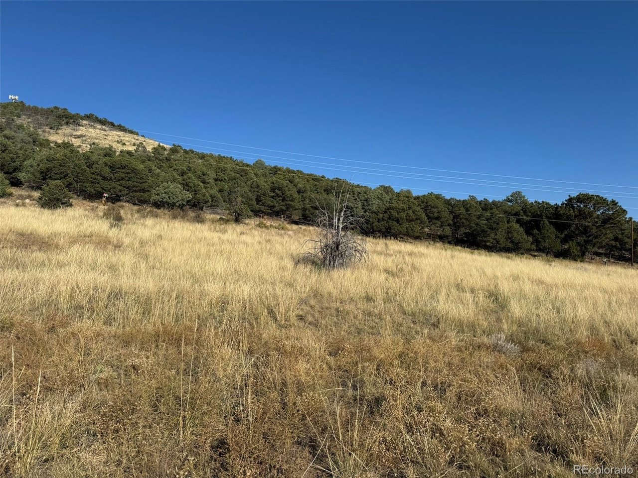 48 Copper Gulch Road Cotopaxi, CO 81223 - Photo 40 of 43