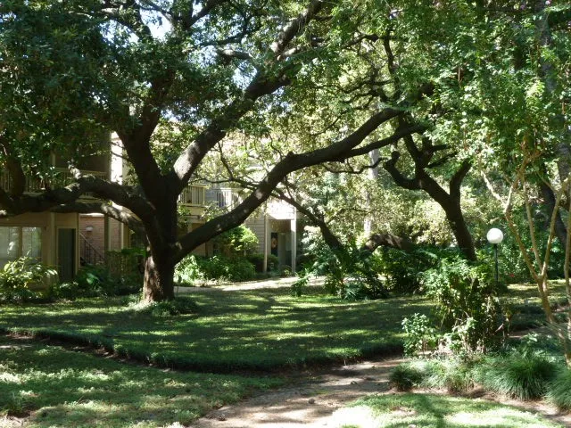 a garden with trees in front of it