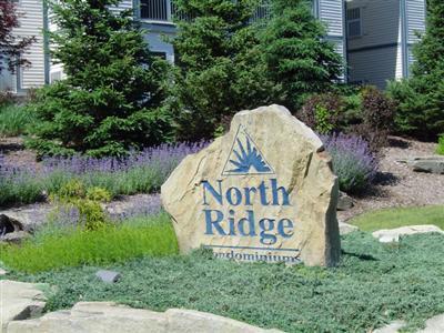 18372 North Ridge Court, Unit 13 Spring Lake, MI 49456 - Photo 14 of 14 Additional Photo