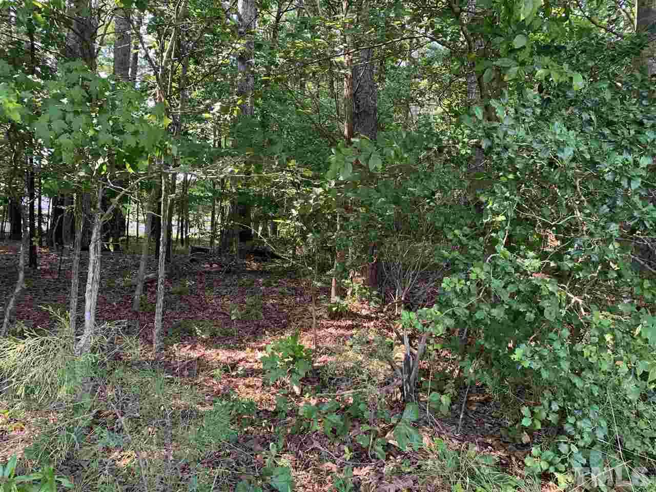 426 Orange Factory Road Bahama, NC 27503 - Photo 2 of 4