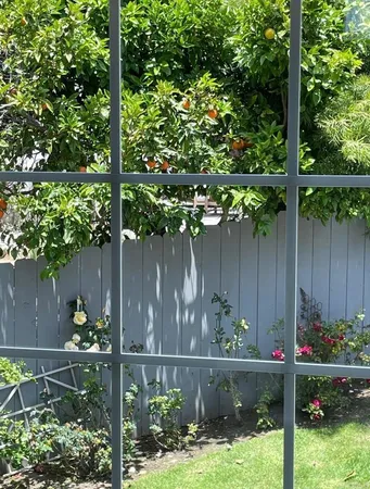 $5,700 | 822 Ida Avenue, Solana Beach, CA 92075