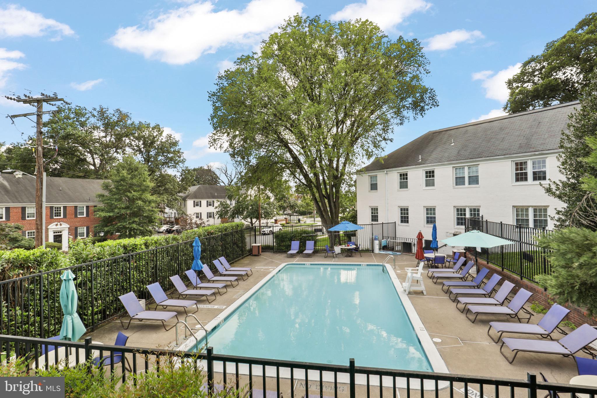 2912 13th Road South, Unit 204 Arlington, VA 22204 - Photo 30 of 32 a view of a patio with couches table and chairs and potted plants
