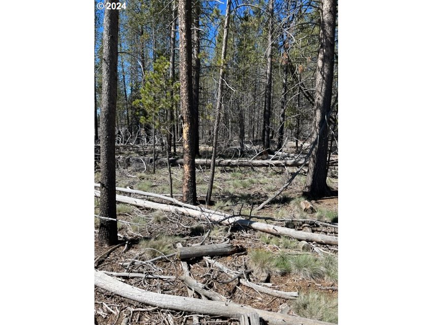 0 Split Rail Road, Unit TL 1900 La Pine, OR 97739 - Photo 11 of 16 Gallery Image 11