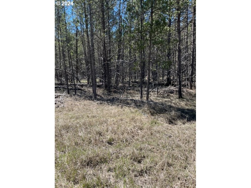 0 Split Rail Road, Unit TL 1900 La Pine, OR 97739 - Photo 3 of 16 Gallery Image 3