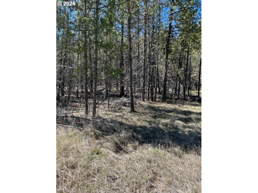 0 Split Rail Road, Unit TL 1900 La Pine, OR 97739 - Photo 4 of 16 Gallery Image 4