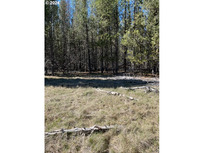 0 Split Rail Road, Unit TL 1900 La Pine, OR 97739 - Photo 6 of 16 Gallery Image 6
