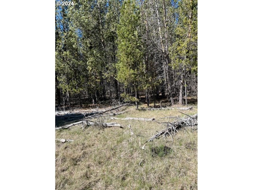 0 Split Rail Road, Unit TL 1900 La Pine, OR 97739 - Photo 8 of 16 Gallery Image 8