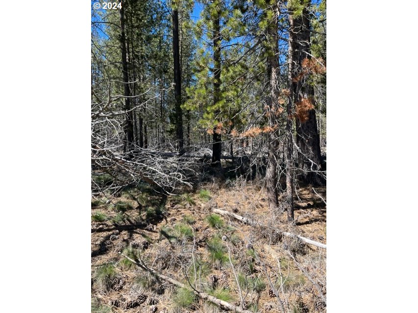 0 Split Rail Road, Unit TL 1900 La Pine, OR 97739 - Photo 10 of 16 Gallery Image 10