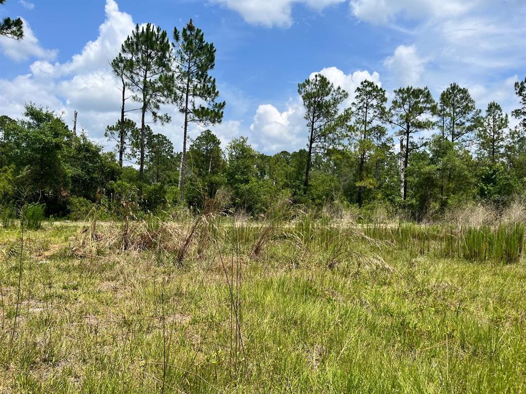 307 Mallard Road Satsuma, FL 32189 - Photo 11 of 11 Gallery Image 11