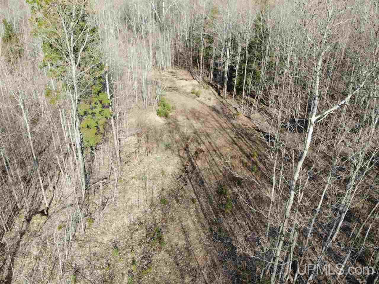 109 Orange Road, Unit 109 Michigamme, MI 49861 - Photo 5 of 13