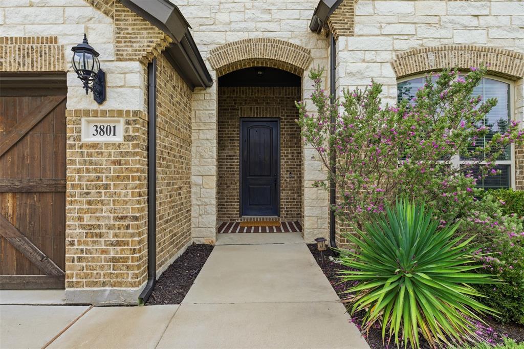 3801 Grove Valley Road Midlothian, TX 76065 - Photo 5 of 40