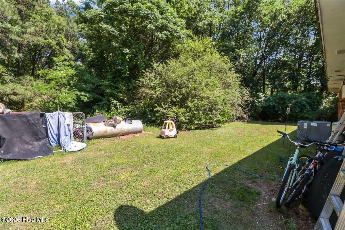 9781 Red Oak Road Whitakers, NC 27891 - Photo 5 of 10