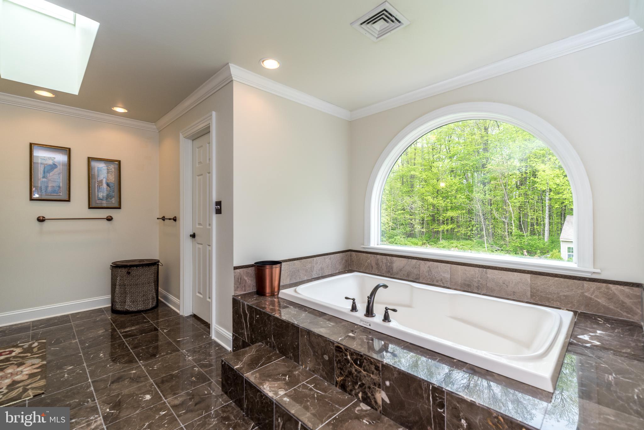931 West Thatcher Road Quakertown, PA 18951 - Photo 33 of 46 Soaking tub