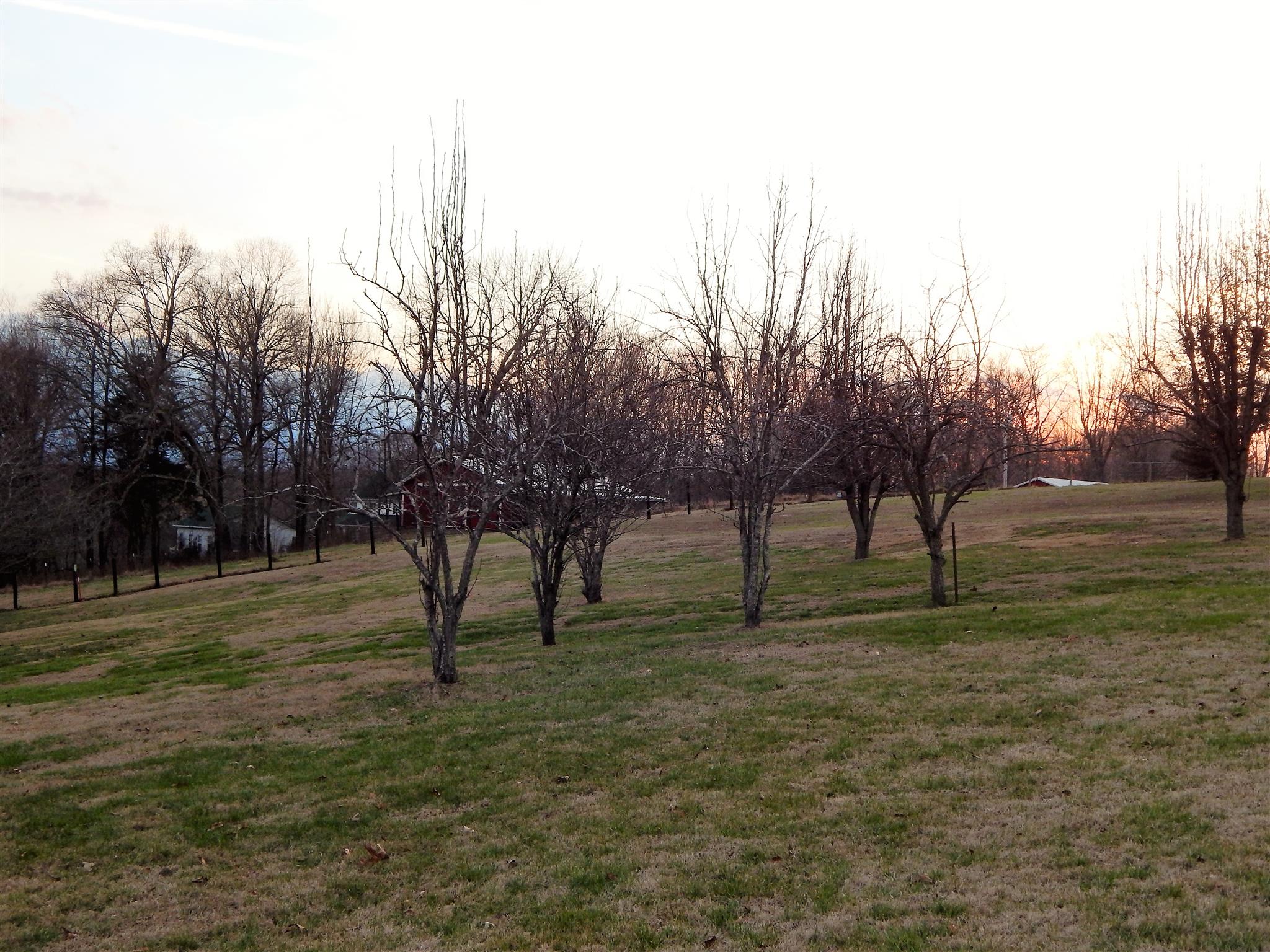 2060 Bradbury Road Adams, TN 37010 - Photo 26 of 27 Gallery Image 26