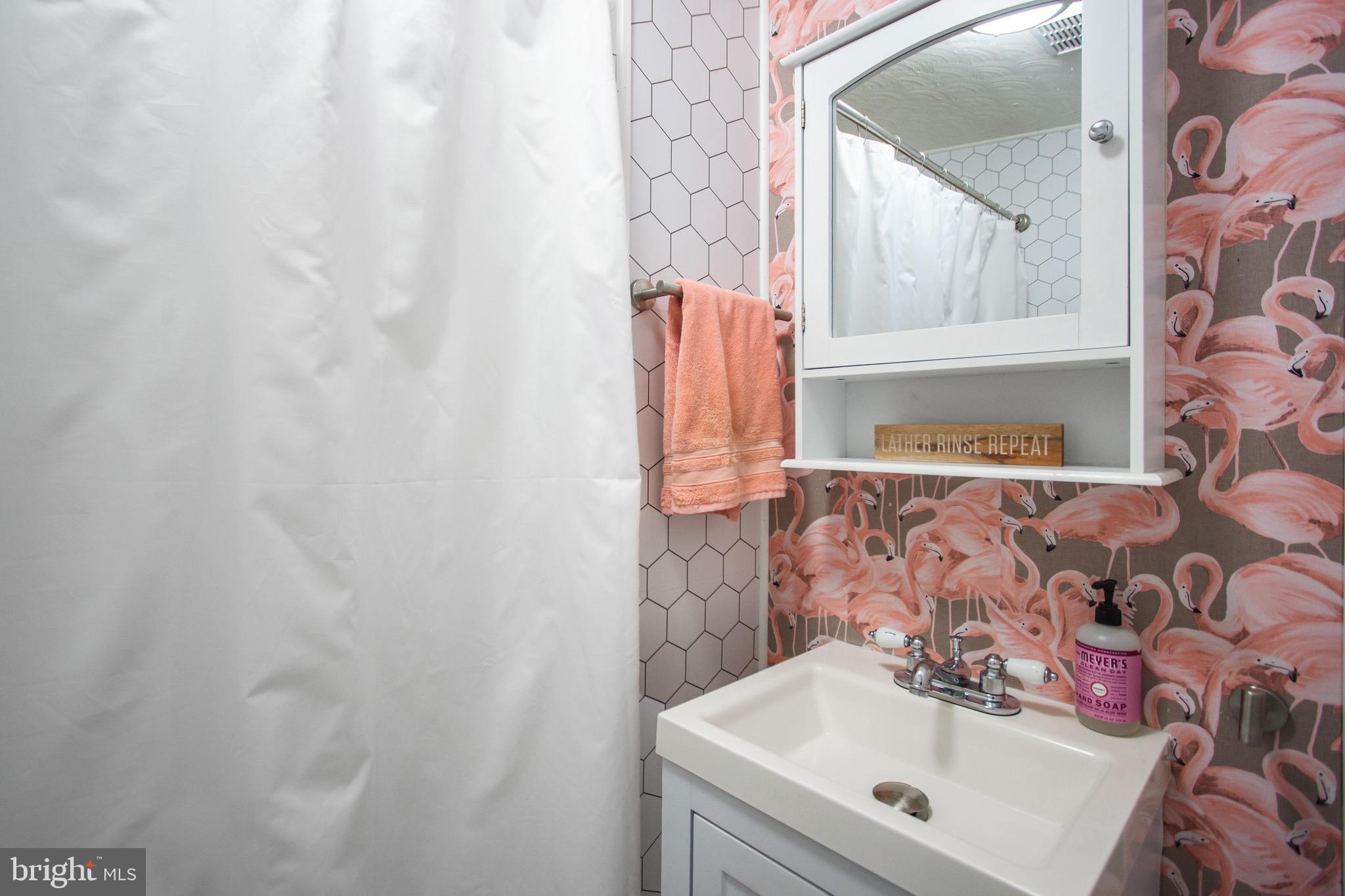 205 South Longcross Road Linthicum Heights, MD 21090 - Photo 17 of 57 a bathroom with a sink and a mirror