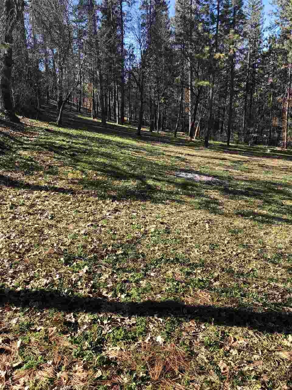 5712 Scott River Road Fort Jones, CA 96032 - Photo 16 of 16 Gallery Image 16