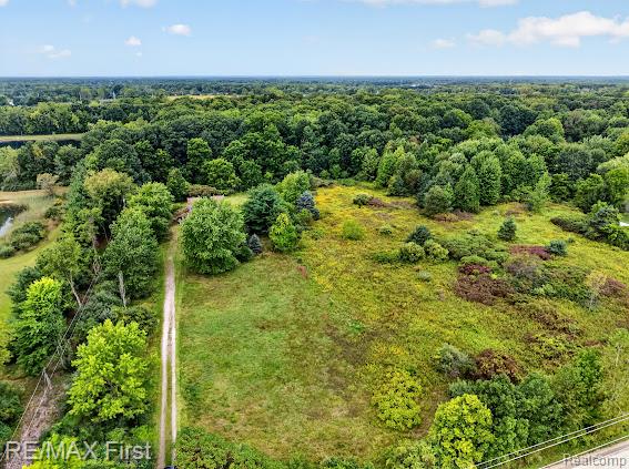 56375 Bates Road New Baltimore, MI 48051 - Photo 8 of 35 Expansive treed landscape featuring a natural dirt path, varied foliage, and distant water
