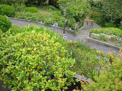79 Corte Ramon Greenbrae, CA 94904 - Photo 7 of 10 a view of a garden with plants