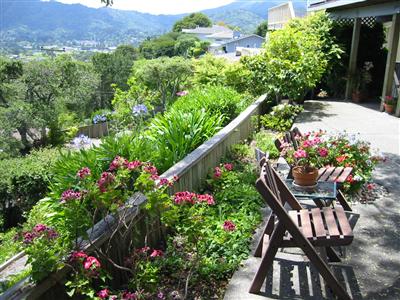 79 Corte Ramon Greenbrae, CA 94904 - Photo 8 of 10 a flower garden with lots of flowers