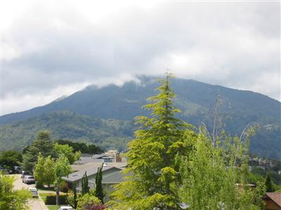 79 Corte Ramon Greenbrae, CA 94904 - Photo 10 of 10 a view of a garden