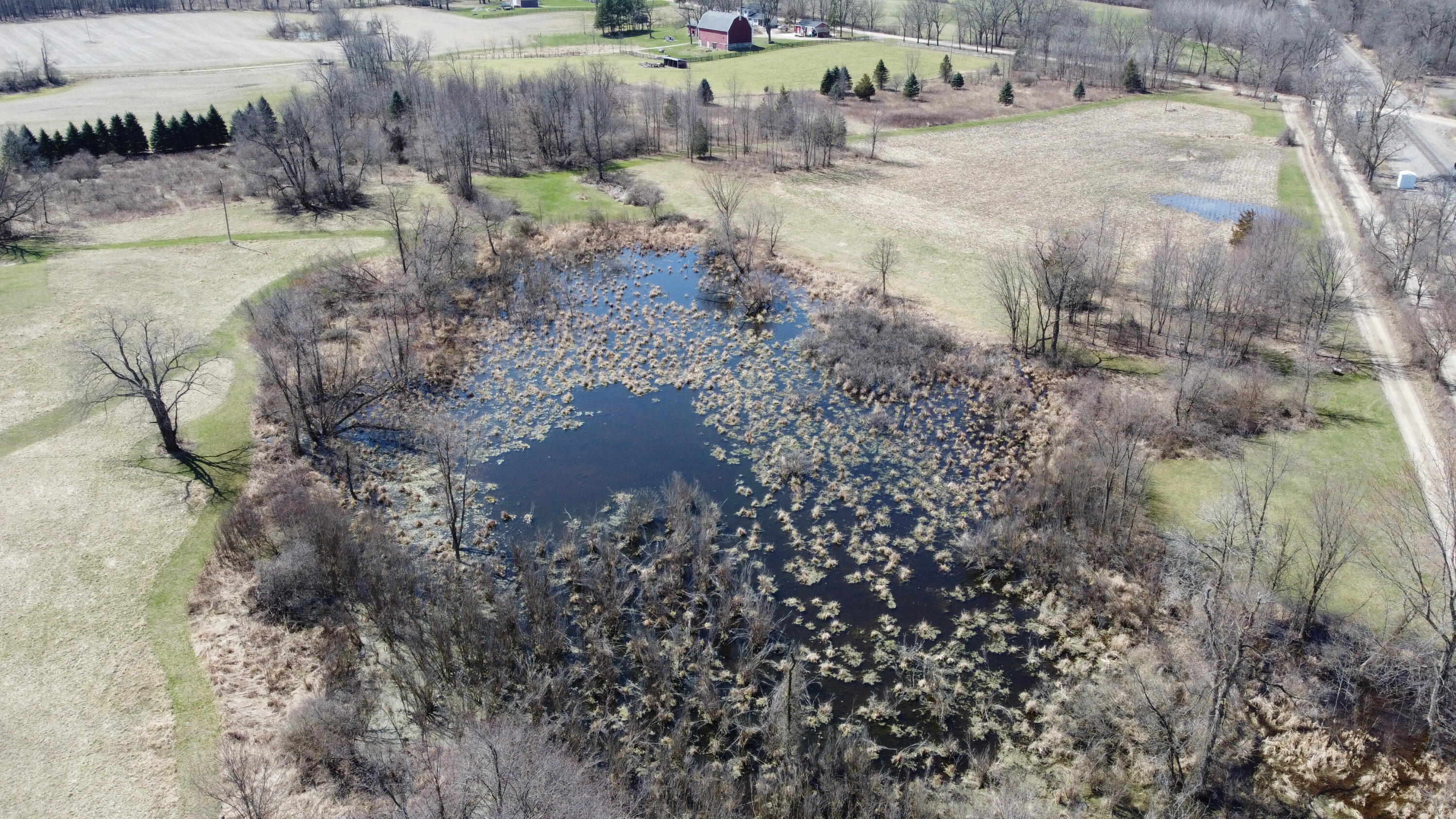 2500 North Dancer Road Dexter, MI 48130 - Photo 78 of 88 DJI_0117