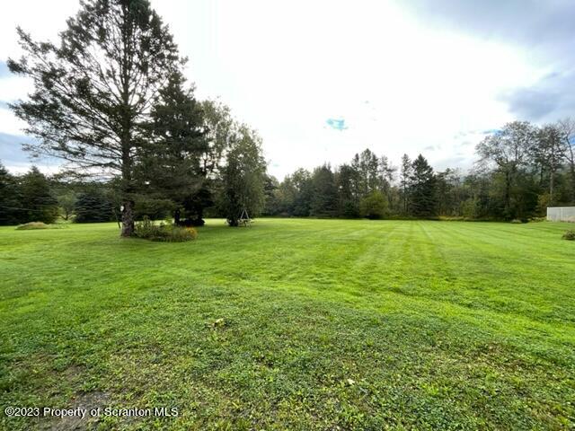 11 Altmiller Lane Clarks Summit, PA 18411 - Photo 7 of 34 Gallery Image 7