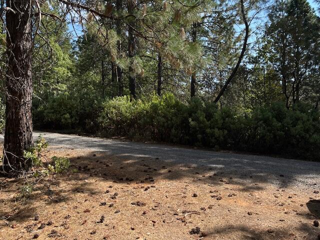 0 Madison Avenue Oak Run, CA 96069 - Photo 11 of 29 a view of a yard with a tree