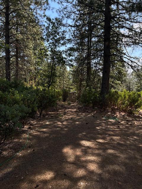 0 Madison Avenue Oak Run, CA 96069 - Photo 15 of 29 a backyard of a house with lots of green space