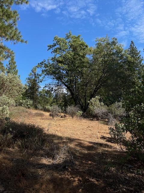 0 Madison Avenue Oak Run, CA 96069 - Photo 17 of 29 a view of dirt yard and mountain view