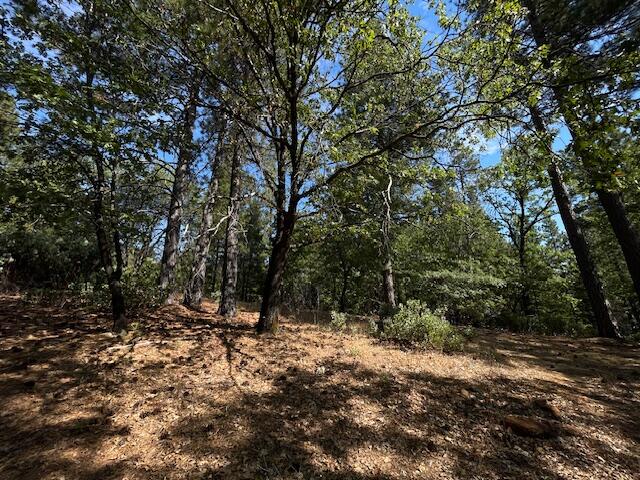 0 Madison Avenue Oak Run, CA 96069 - Photo 19 of 29 a view of outdoor space with trees