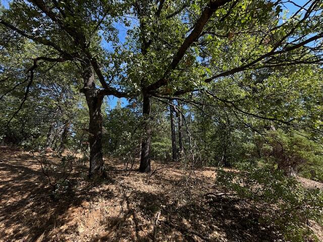 0 Madison Avenue Oak Run, CA 96069 - Photo 22 of 29