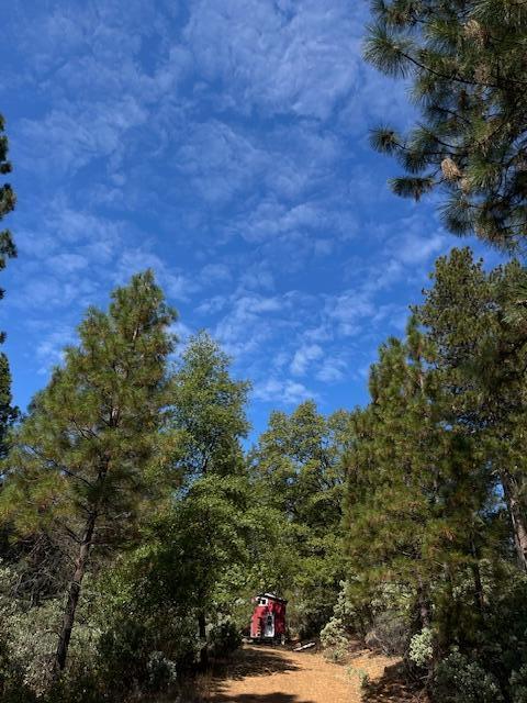 0 Madison Avenue Oak Run, CA 96069 - Photo 27 of 29 a view of street with flower plants