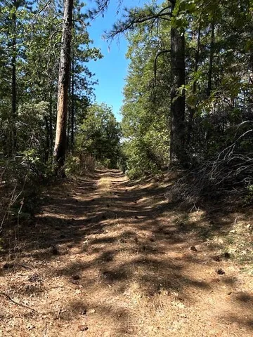 $55,000 | 0 Madison Avenue, Oak Run, CA 96069