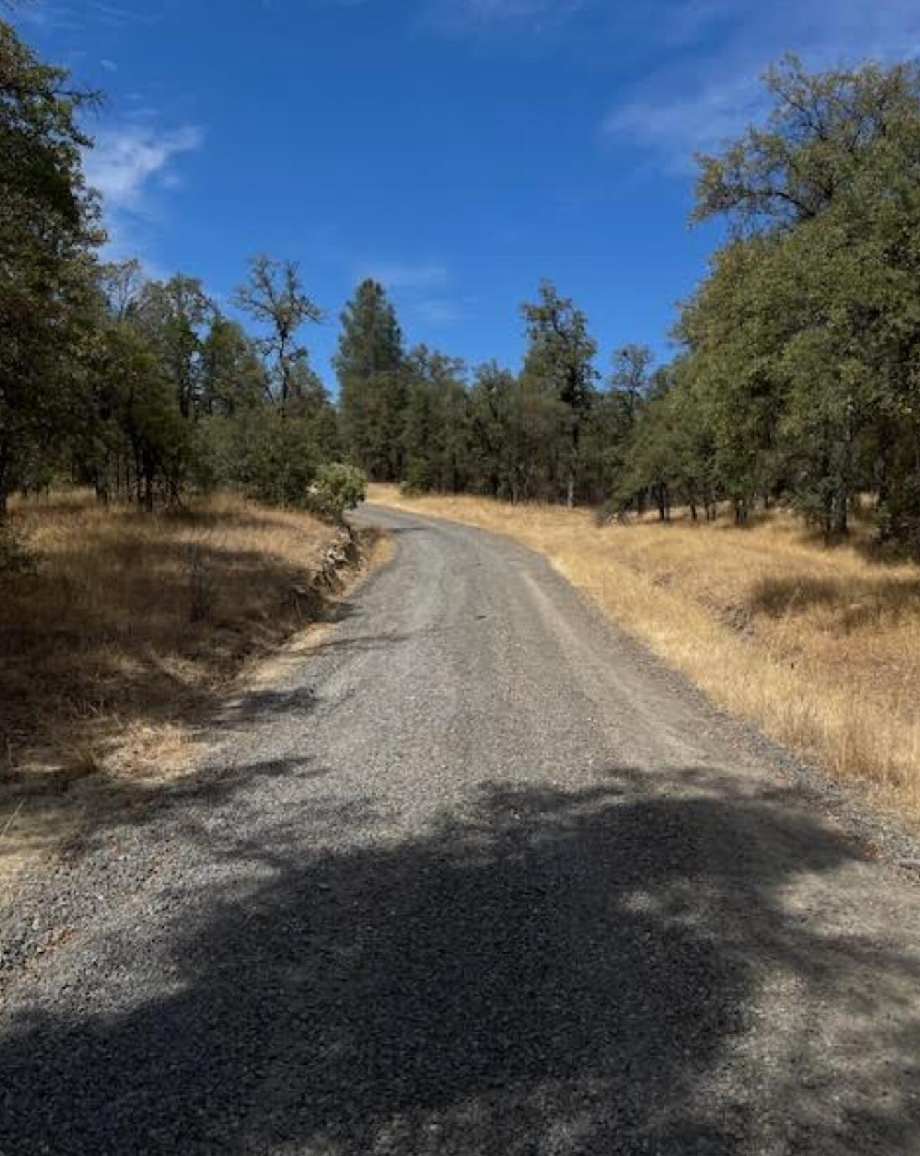 0 Madison Avenue Oak Run, CA 96069 - Photo 29 of 29 a view of outdoor space with mountain view