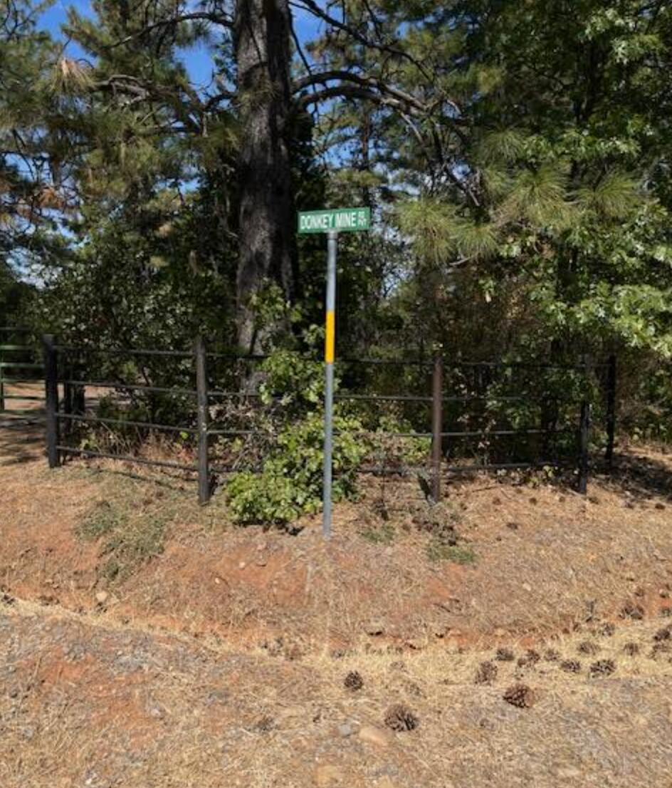 0 Madison Avenue Oak Run, CA 96069 - Photo 3 of 29 a backyard of a house with lots of green space
