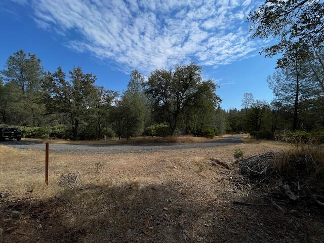 0 Madison Avenue Oak Run, CA 96069 - Photo 8 of 29 a view of dirt field with trees in the background