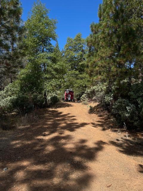 0 Madison Avenue Oak Run, CA 96069 - Photo 9 of 29 a view of road with trees
