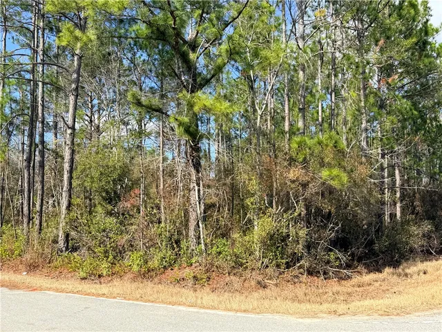 $20,000 | 0 Wright Drive Northeast, Baxley, GA 31513