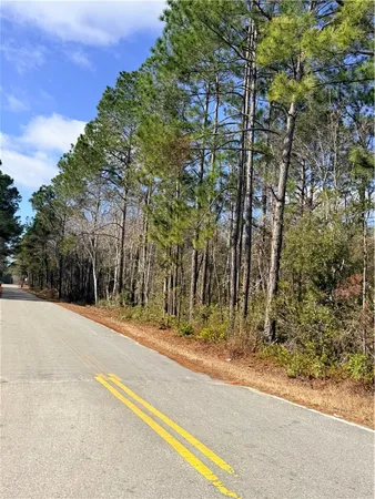 $20,000 | 0 Wright Drive Northeast, Baxley, GA 31513