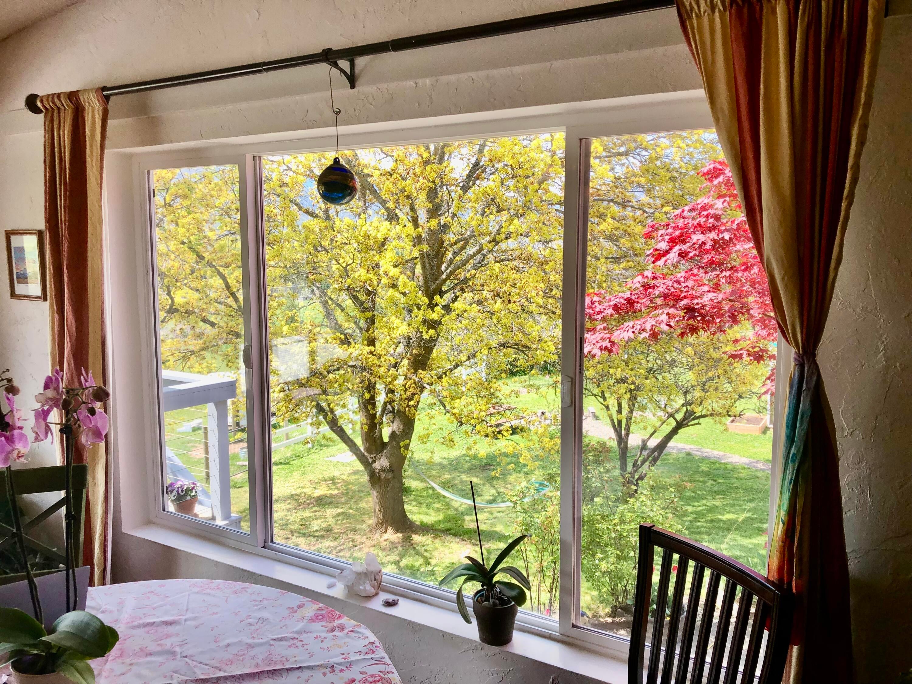 642 Wilson Road Ashland, OR 97520 - Photo 23 of 42 IMG_5252