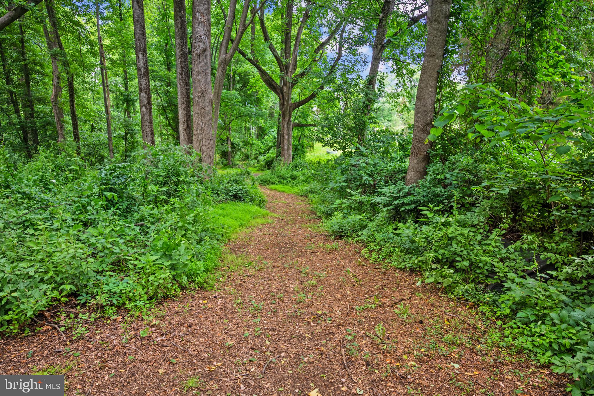 13112 Laurel Glen Road Clifton, VA 20124 - Photo 37 of 49