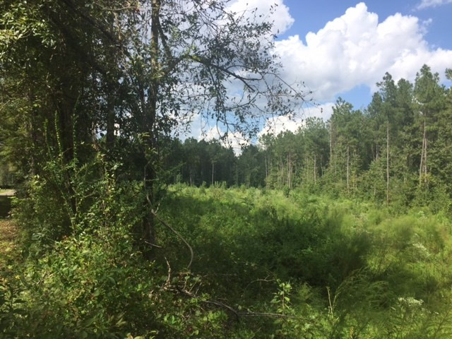 0 West Topisaw Road Ruth, MS 39662 - Photo 1 of 1 Main View