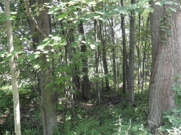 6511 Johnson Road Coloma, MI 49038 - Photo 21 of 23 Additional Photo