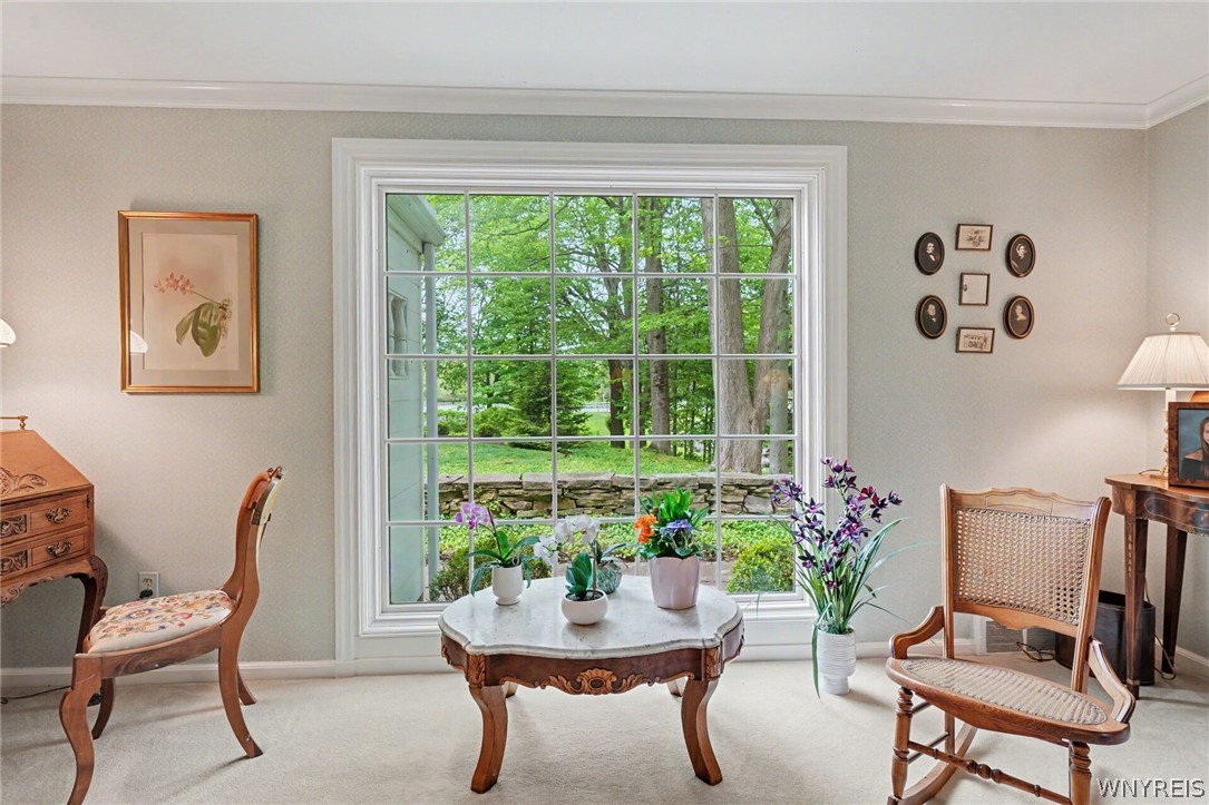 4233 Freeman Road Orchard Park, NY 14127 - Photo 23 of 50 Living room