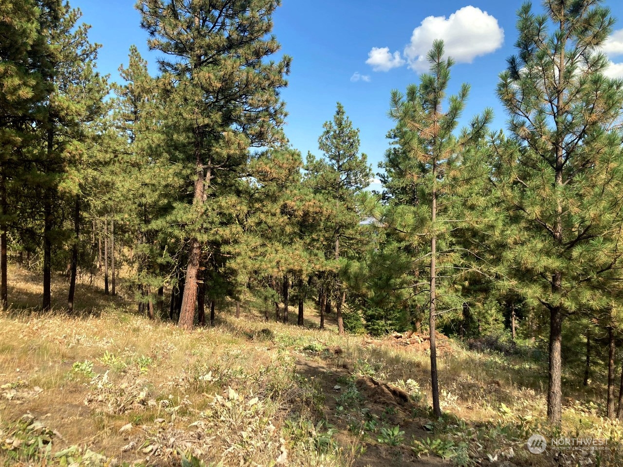 0 Number 2 Canyon Road, Unit C Wenatchee, WA 98802 - Photo 12 of 22 Gallery Image 12