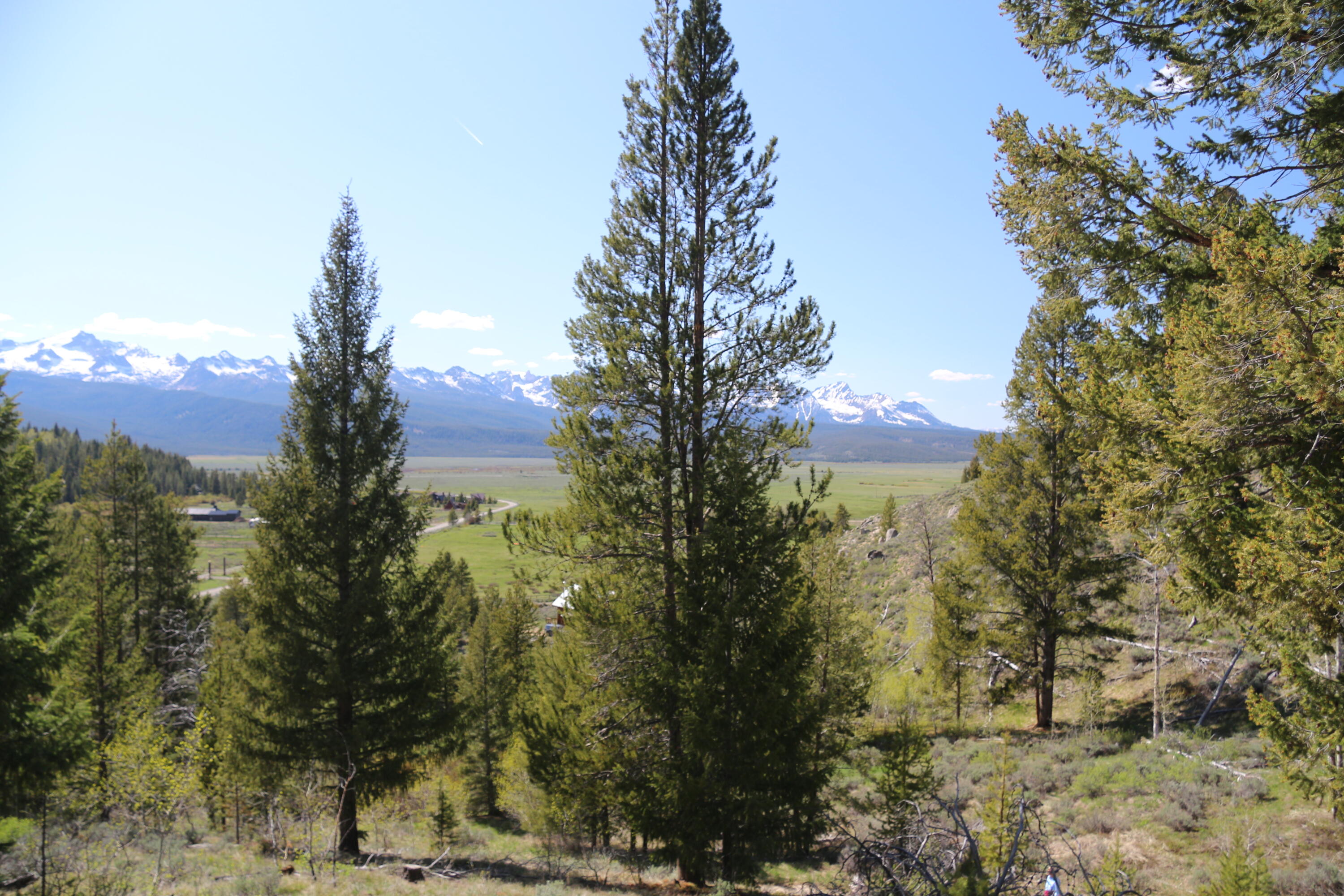Tbd Fisher Creek Road Stanley, ID 83278 - Photo 15 of 37 IMG_7651