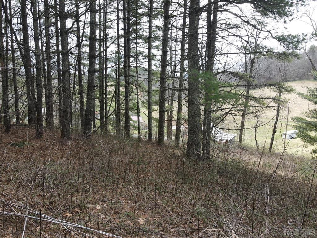 Tbd Pine Creek Road Cullowhee, NC 28723 - Photo 38 of 51 Gallery Image 38